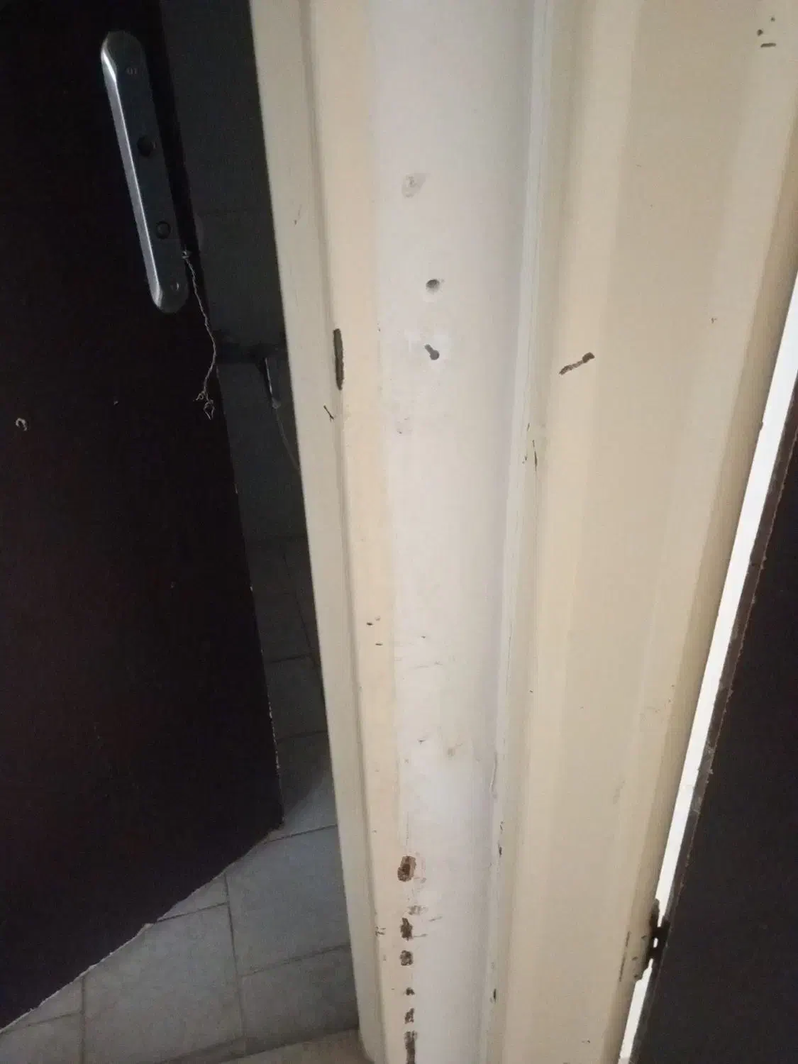 هم خونه فقط خانم|فعالیت داوطلبانه|ماهدشت, |دیوار