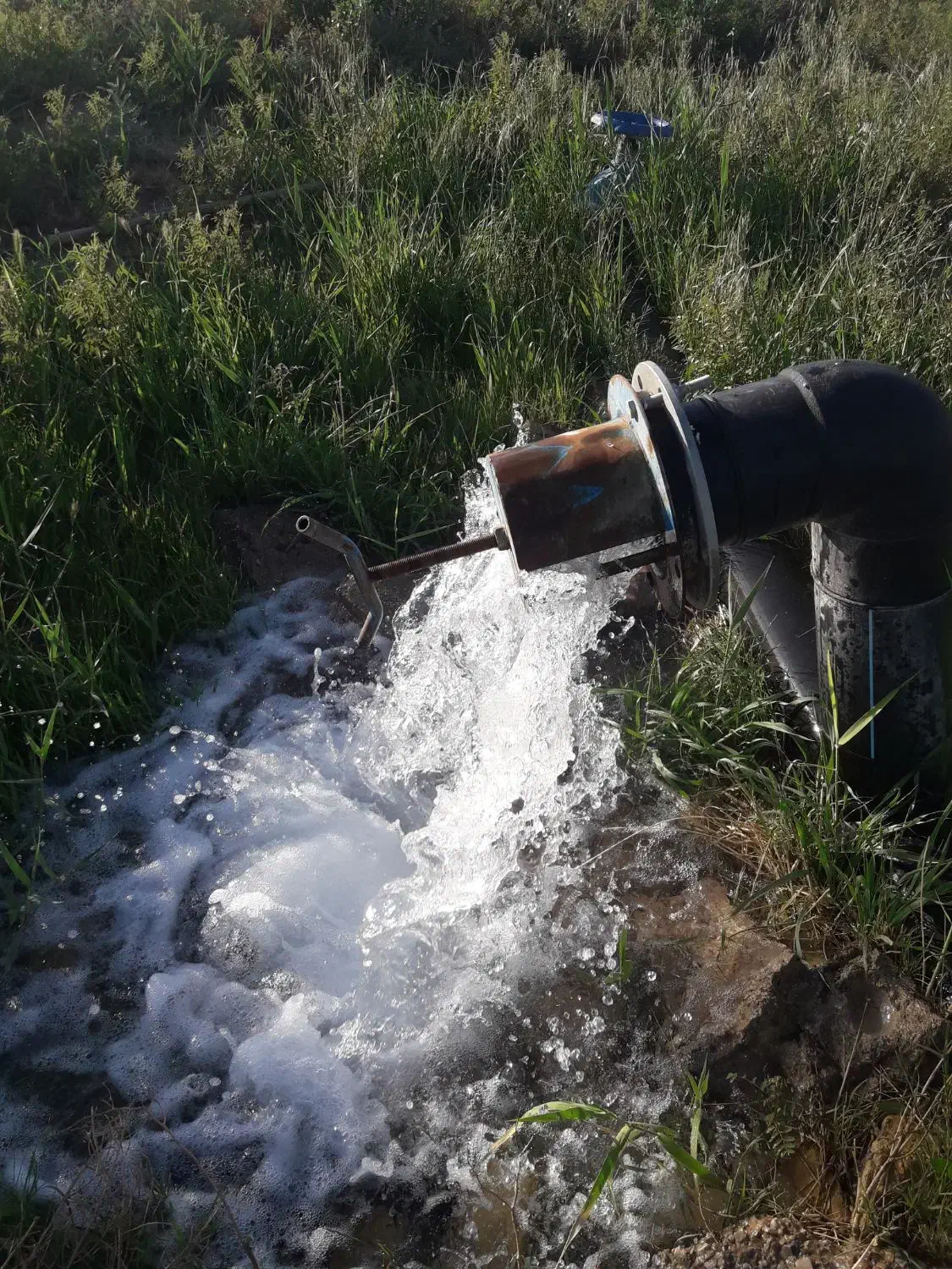 باغ پسته ای ۲۳۰۰۰ متر منطقه بیابانک|فروش دفتر صنعتی، کشاورزی، تجاری|سرخه, |دیوار