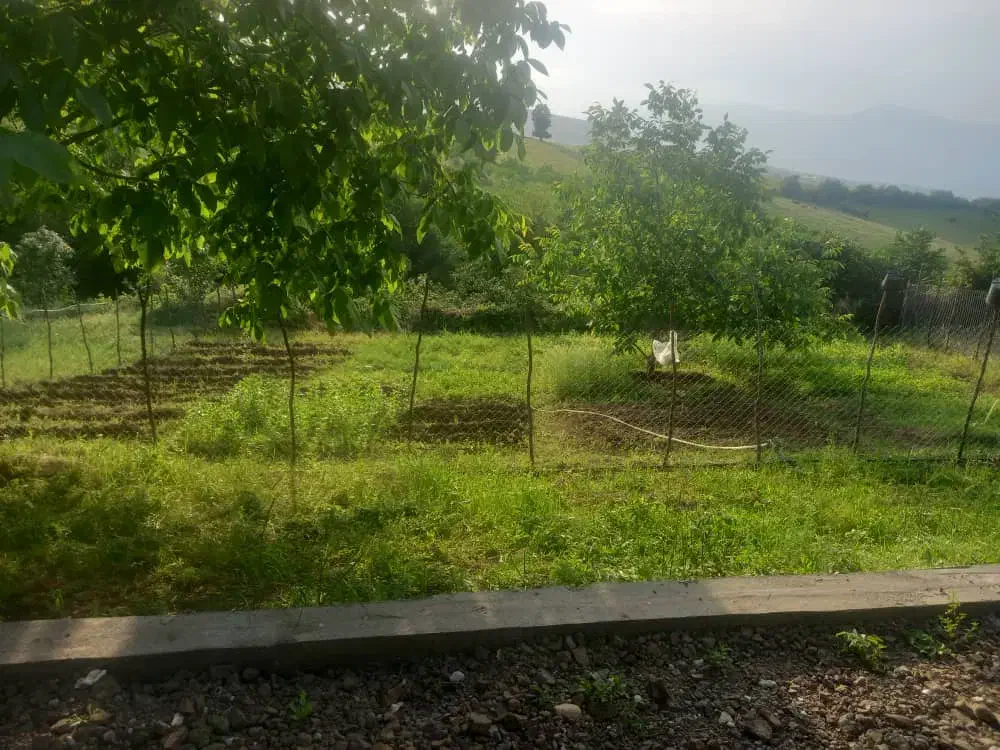 ۶۰۰۰متر خونه باغ دل طبیعت زیبای کلسفروش|فروش خانه و ویلا|توتکابن, |دیوار