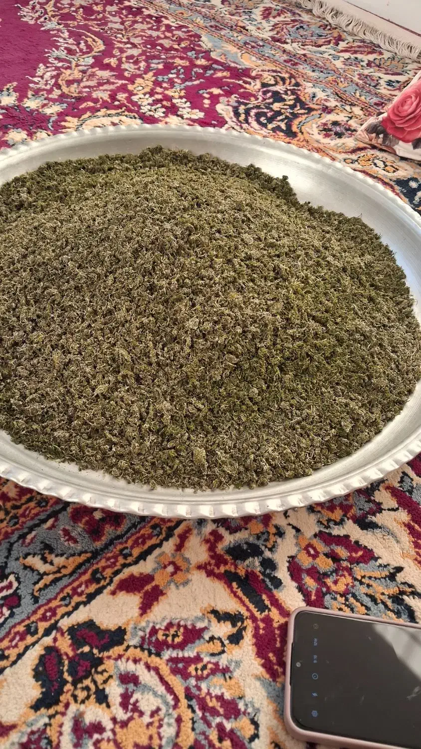 سبزی قورمه|خوردنی و آشامیدنی|نیشابور, ده حلاج|دیوار