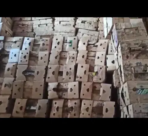 کارتن موزی 10هزار عدد بدون سر|عمده‌فروشی|برازجان, |دیوار