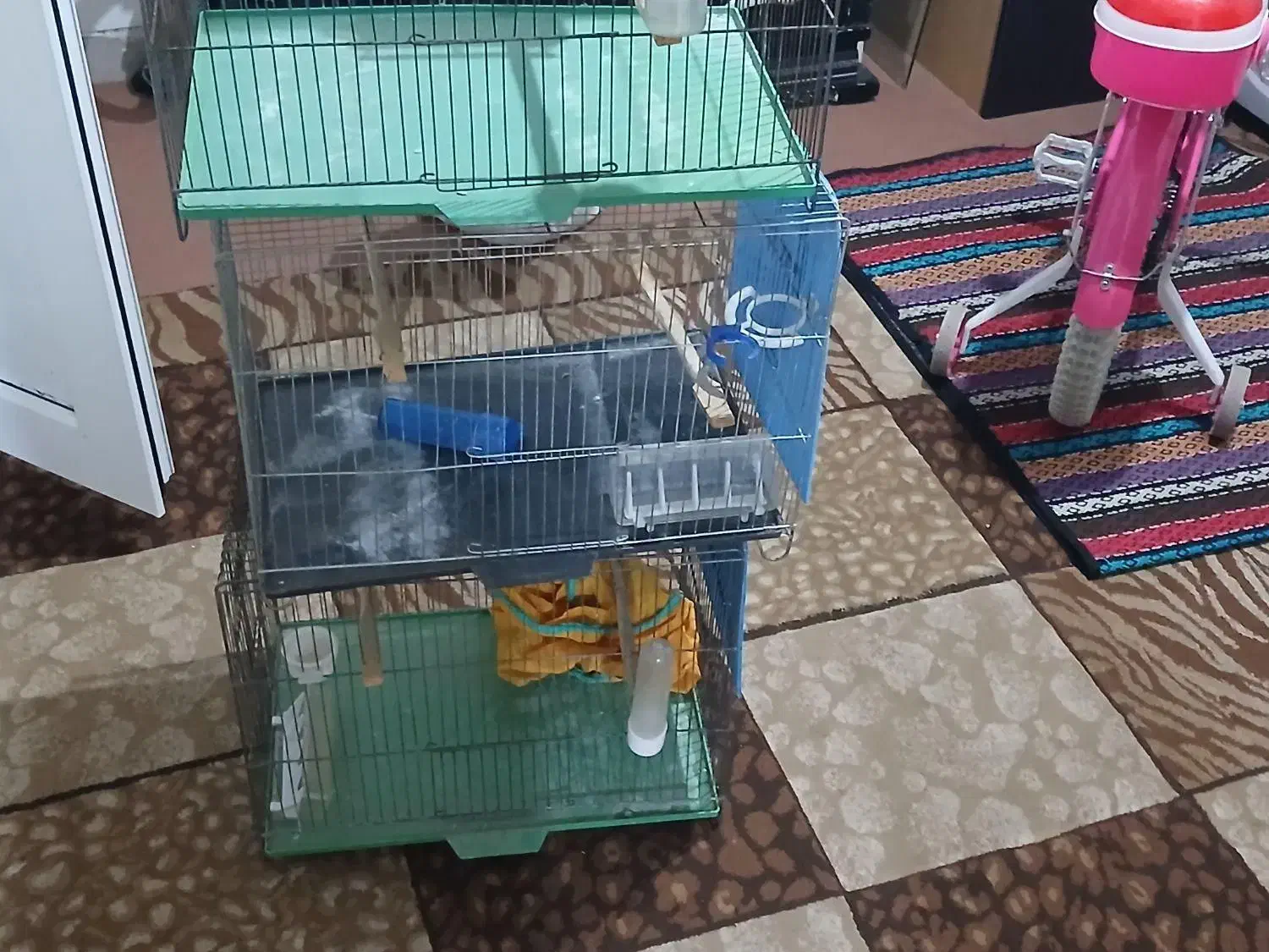 قفس پرنده خانگی|لوازم جانبی حیوانات|ایلام, |دیوار