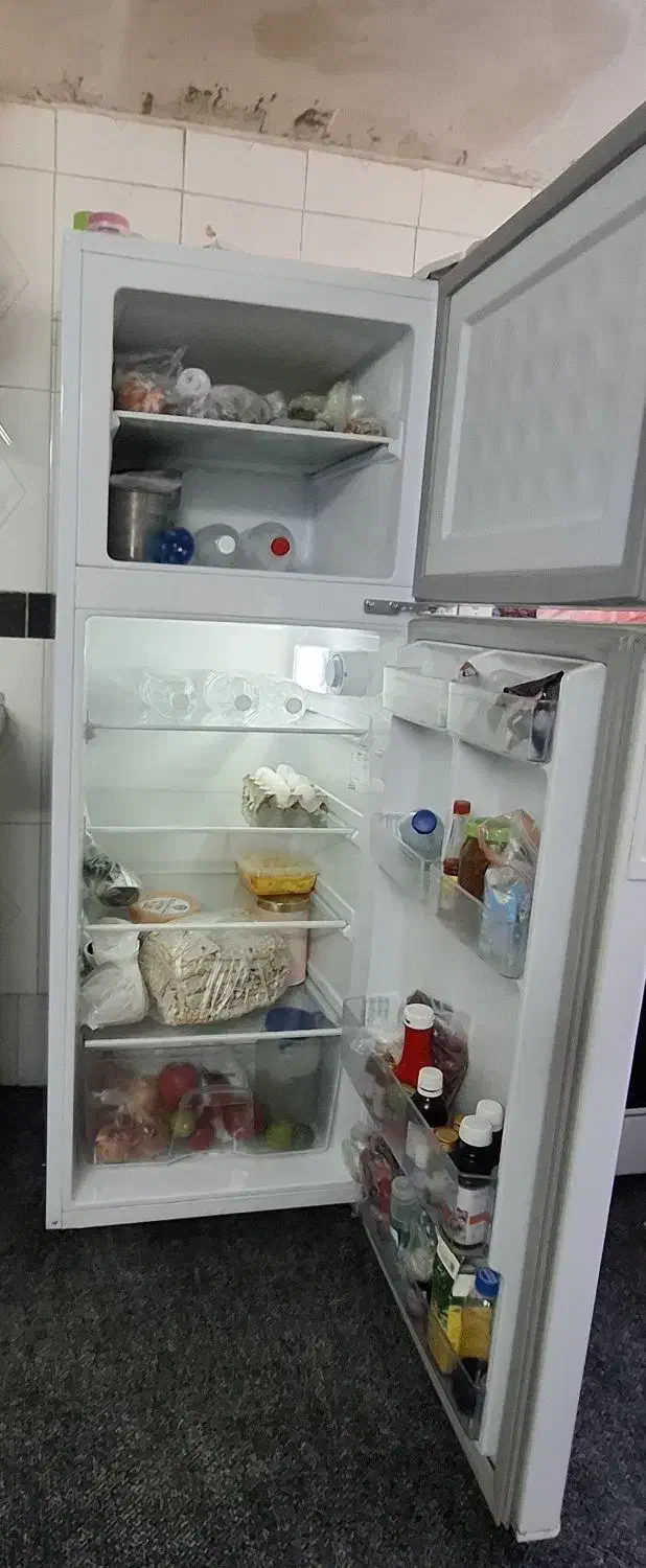 یخچال بست نو بدون خطو خش|یخچال و فریزر|شیراز, شریفآباد|دیوار