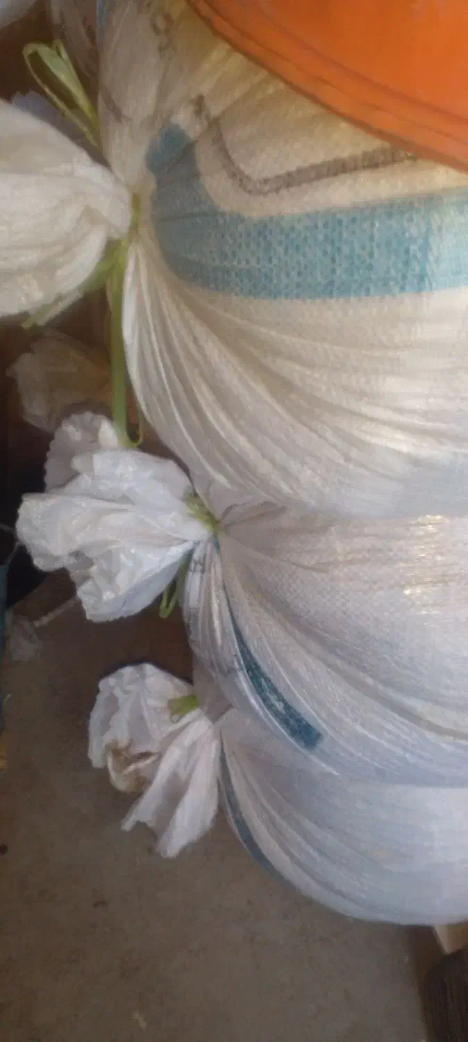 بقلی امسالی|خوردنی و آشامیدنی|نیشابور, مازول|دیوار