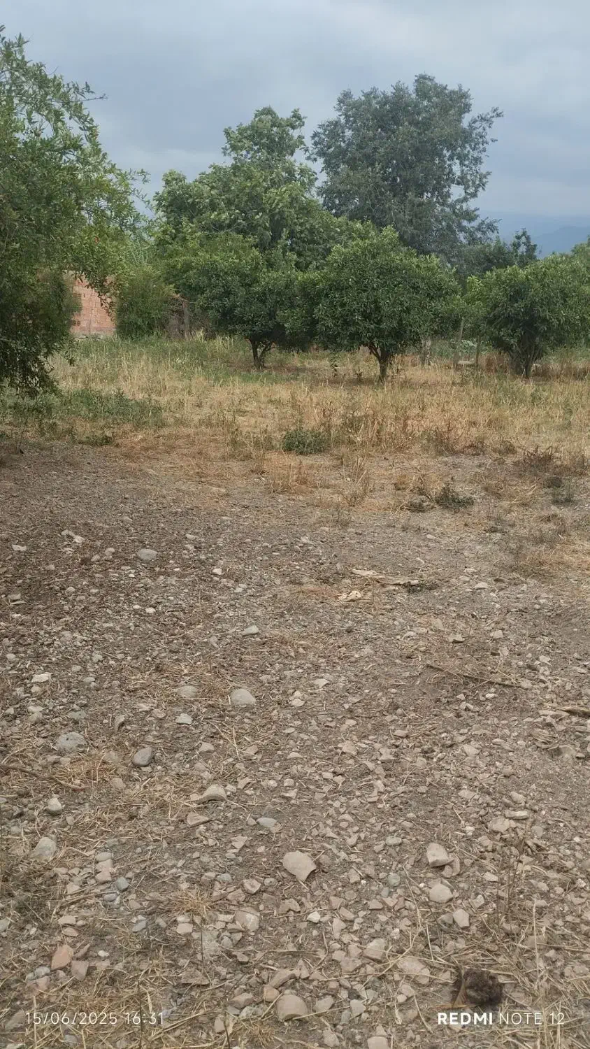 زمین|فروش زمین و ملک کلنگی|بندر گز, |دیوار