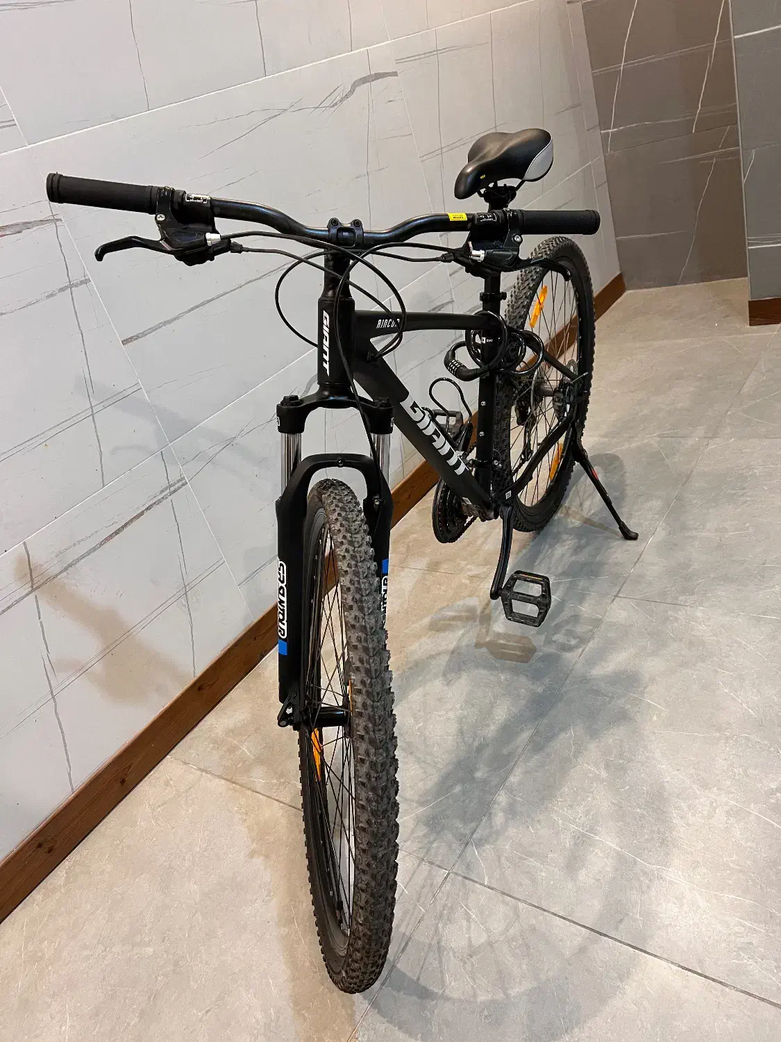 دوچرخه کوهستان جاینت|دوچرخه، اسکیت، اسکوتر|کیش, |دیوار