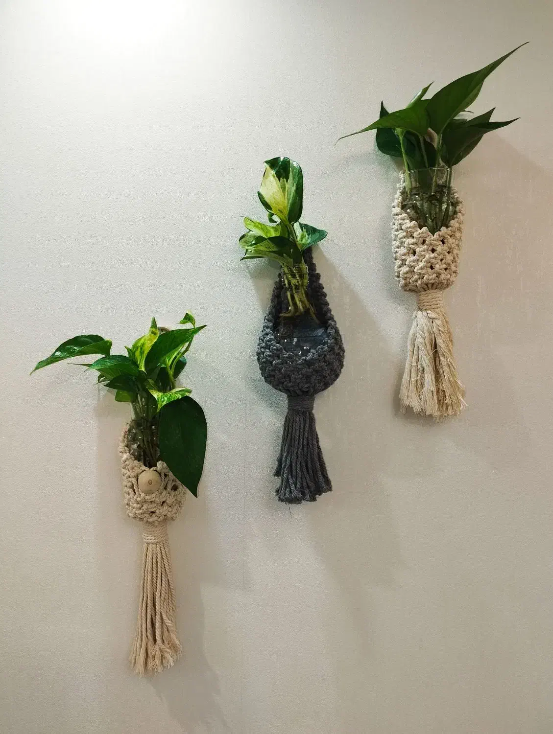 گلدان دیوار و انواع دیوارکوب|صنایع دستی و سایر لوازم تزئینی|تهران, مسعودیه|دیوار