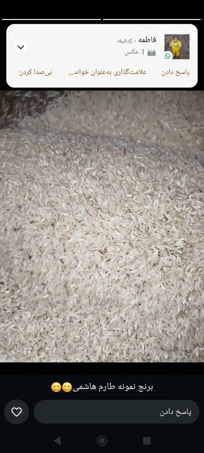 برنج کاظم هاشمی و طارم هاشمی و نیم دانه موجود است|عمدهفروشی|دره شهر, |دیوار