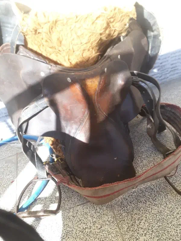 زین اسب کورسی آلمانی مخصوص سوارکاری قدمت دار|اسب و تجهیزات اسب‌سواری|بهار, |دیوار