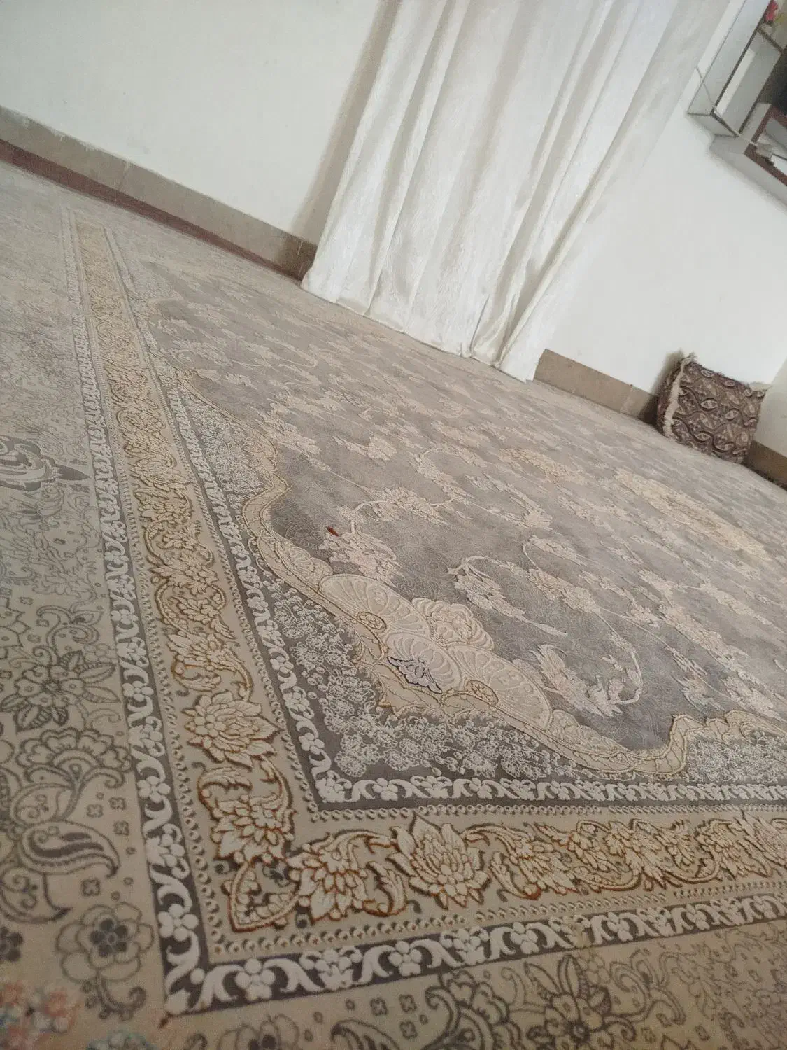 دو عدد فرش دوازده متری|فرش|دورود, |دیوار