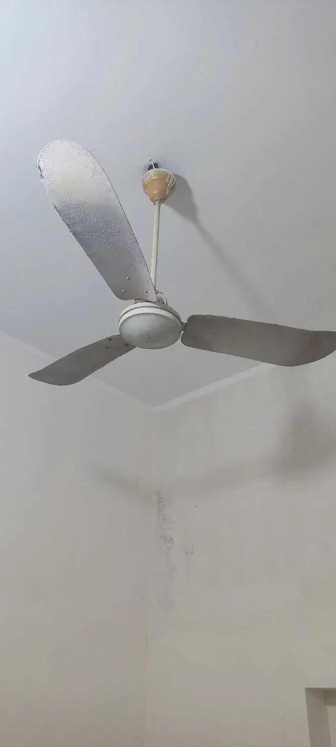 پنکه سقفی قدیمی|پنکه و تصفیه‌کنندهٔ هوا|بندرعباس, |دیوار