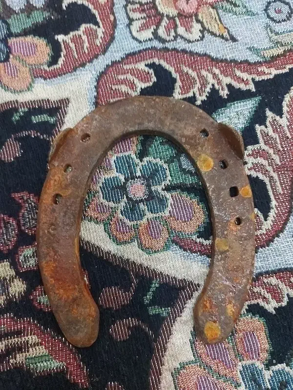 نعل اسب|اسب و تجهیزات اسبسواری|امیدیه, |دیوار