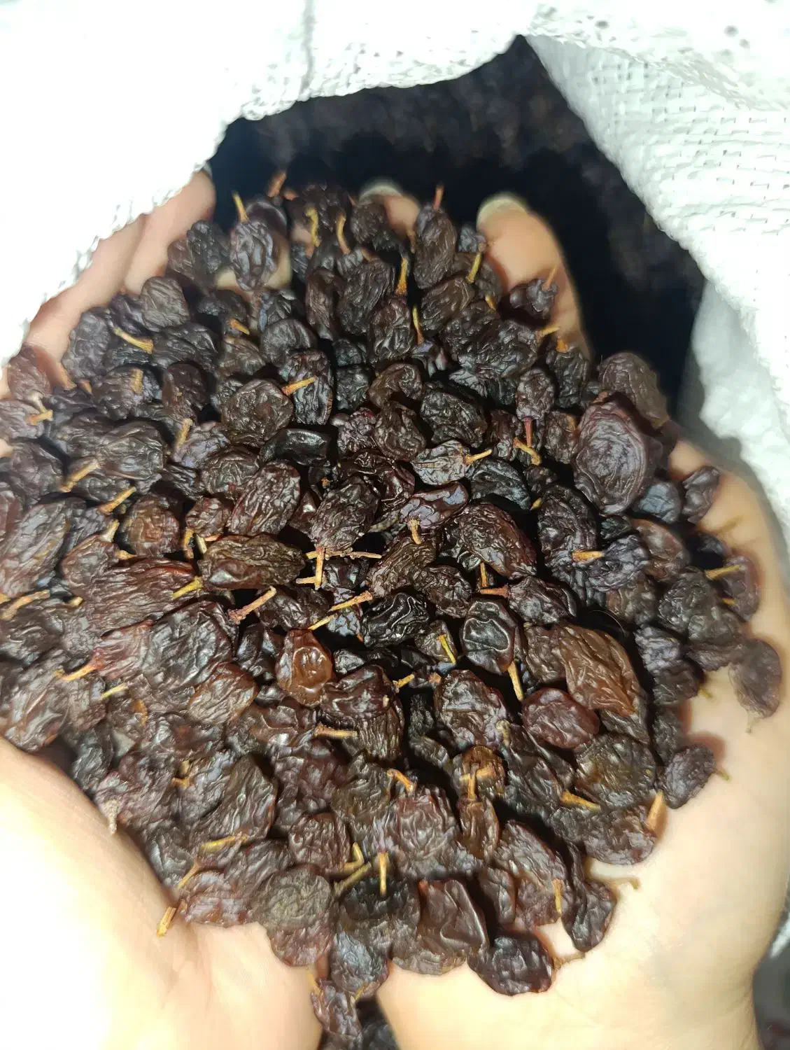 کشمش درجه یک آفتابی|خوردنی و آشامیدنی|بوشهر, |دیوار