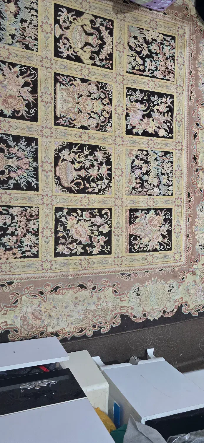 فرش ۶متری|فرش|قم, حاج زینل|دیوار