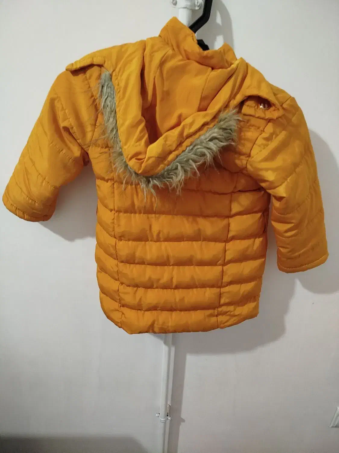 دو عدد پالتو|لباس|دورود, |دیوار