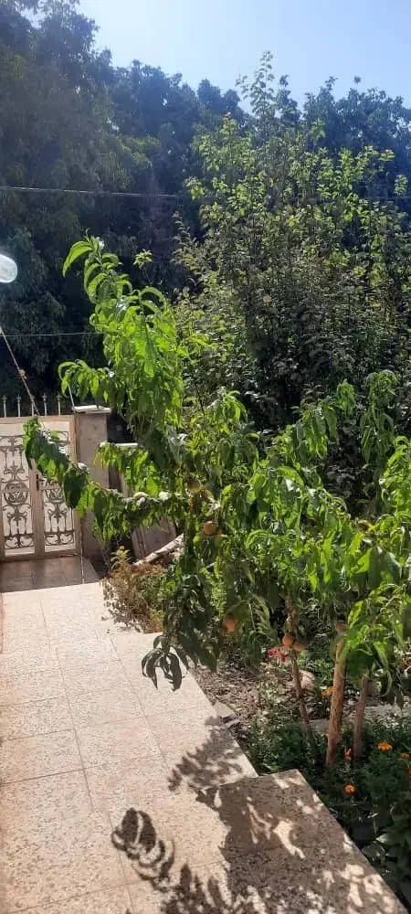 آپارتمان نوساز و مغازه تجاری کیاسر( معاوضه)|فروش آپارتمان|ساری, |دیوار