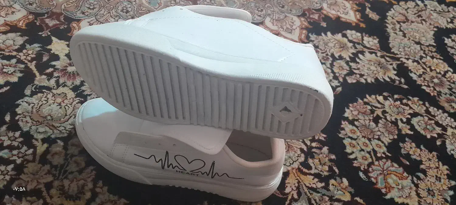 اسپورت کفش|کیف، کفش، کمربند|بندر دیر, |دیوار