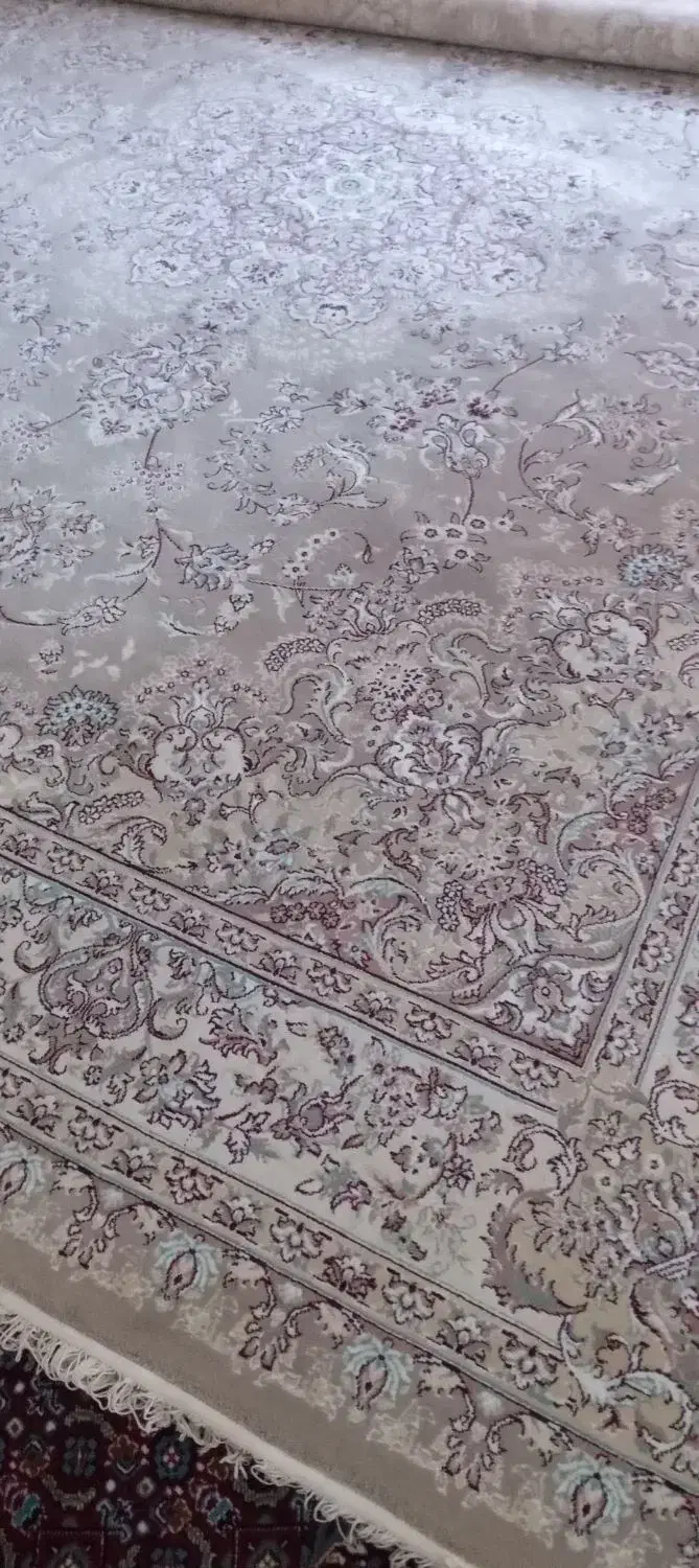 فرش ماشینی ۱۲ متری|فرش|همدان, |دیوار