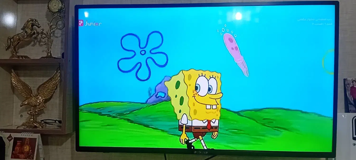 تلویزیون ۴۳اینچ سونیا|تلویزیون و پروژکتور|ملکان, |دیوار