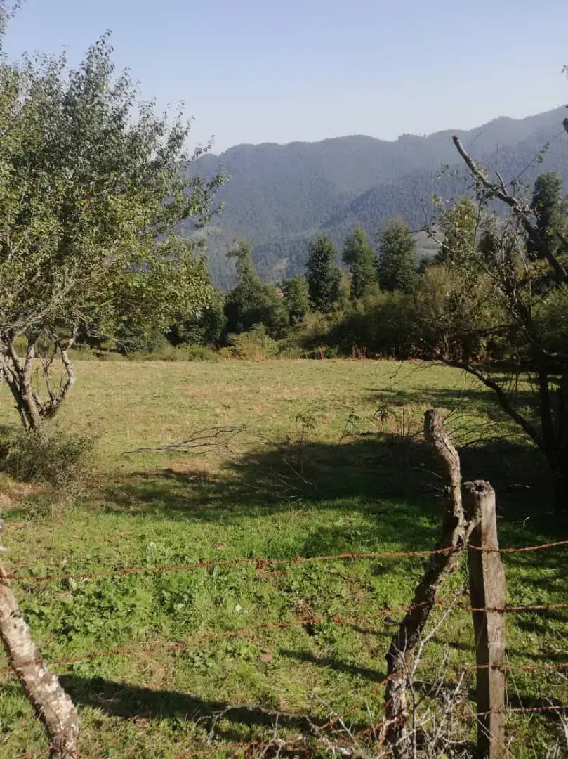 زمین مسکونی ۵۰۰متر|فروش زمین و ملک کلنگی|رشت, بازار|دیوار