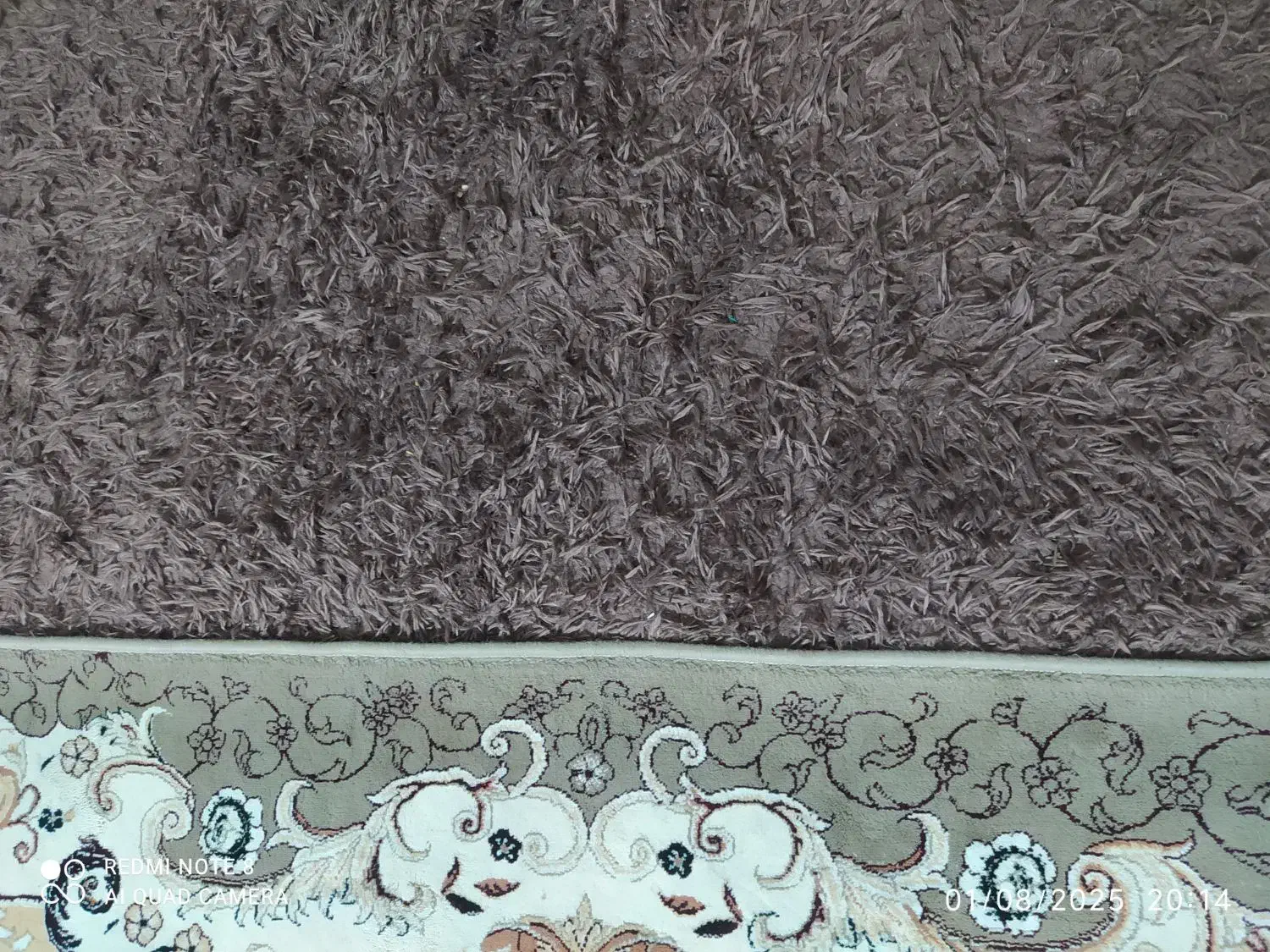 پادری تدی  بسیار نرم و شیک و سالم|پادری|کوهدشت, |دیوار