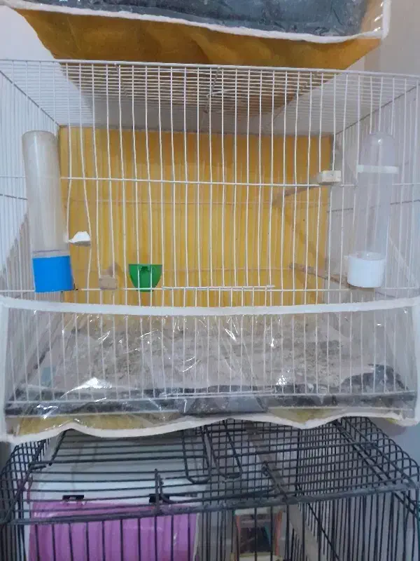 قفس عروس وقناری|لوازم جانبی حیوانات|مشهد, حضرت حجت|دیوار