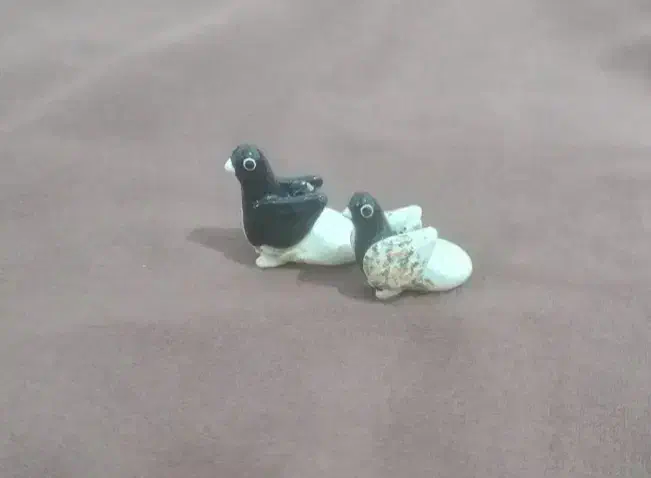 ماده یال قهوه ای گل زرد گم کردم|پرنده|شیراز, کوشک میدان|دیوار