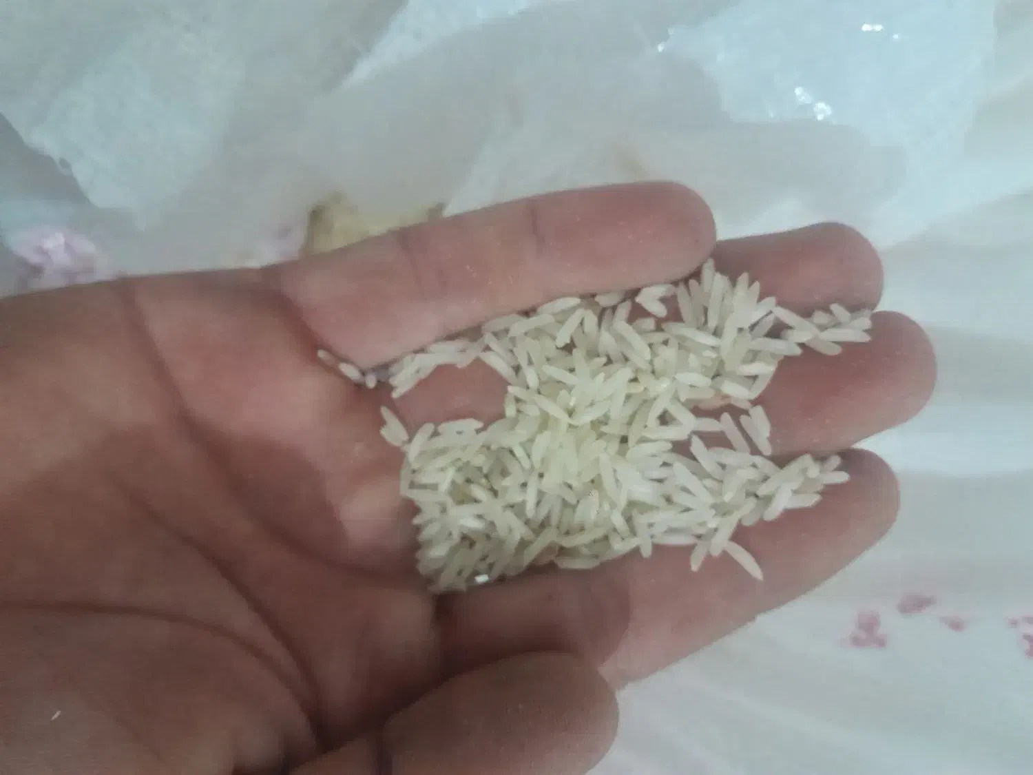 برنج طارم|خوردنی و آشامیدنی|کارزان, |دیوار