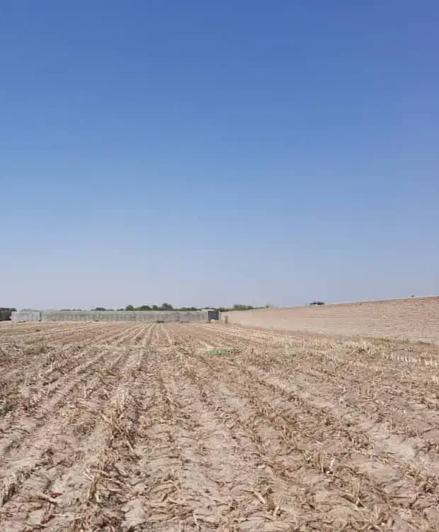 فروش زمین ۸۰۰۰ متری در منجیل آباد|فروش زمین و ملک کلنگی|رباطکریم, منجیل آباد|دیوار