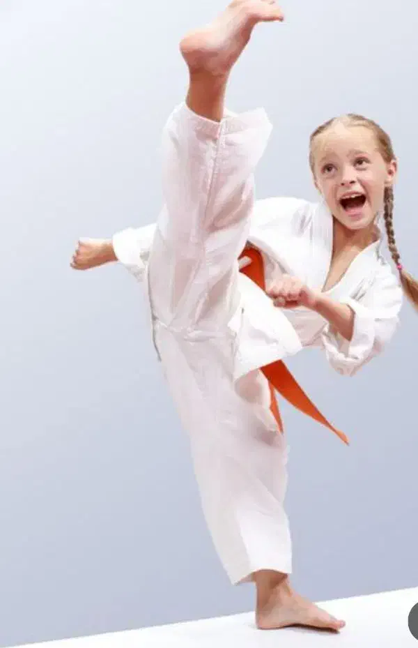 آکادمی قهرمان پروری کیوکوشبن کاراته خردسالان مشهد|خدمات آموزشی|مشهد, سجاد شهر|دیوار