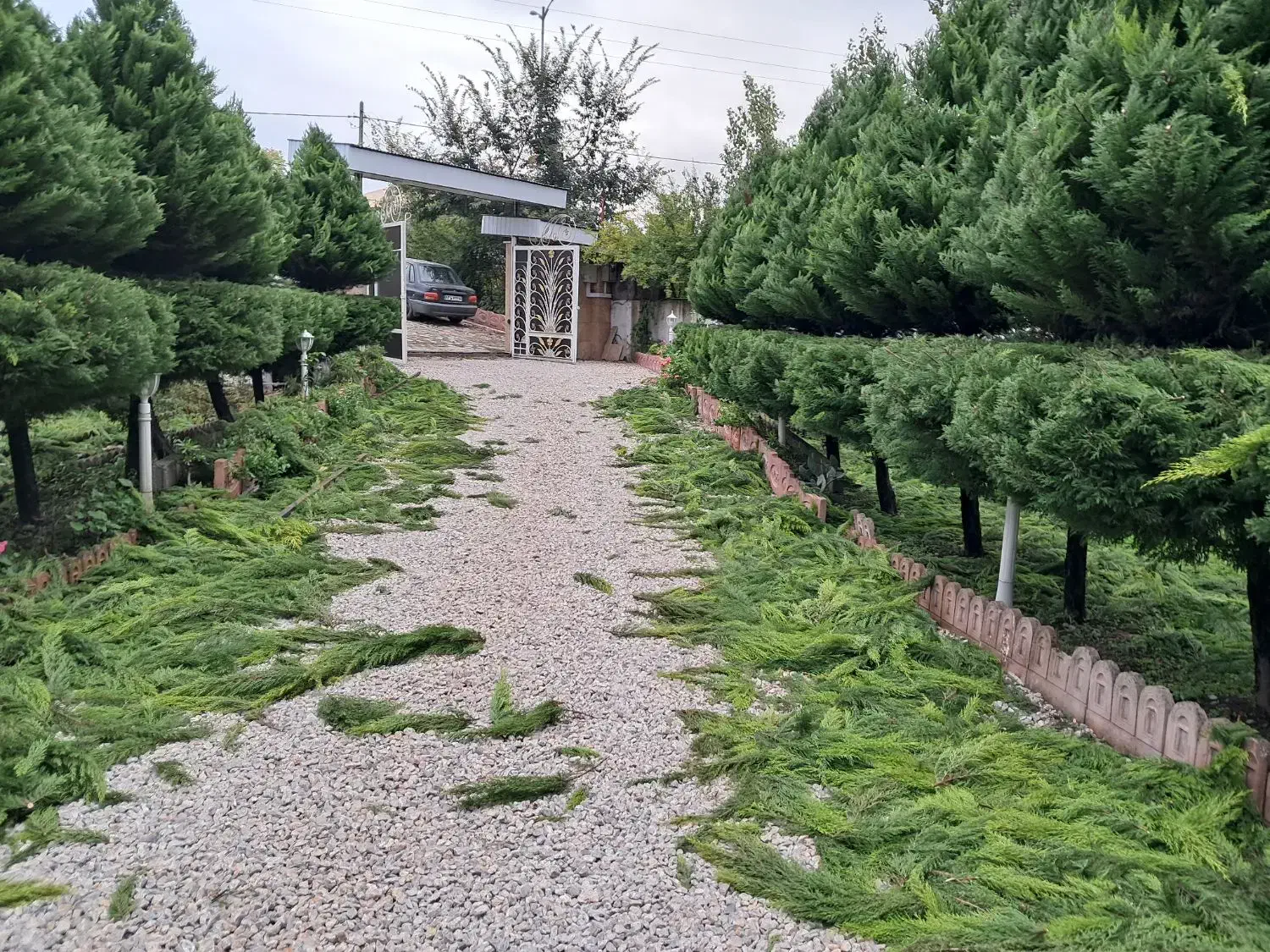 خدمات باغبانی ،هرس و غیره|خدمات باغبانی و درختکاری|اسالم, |دیوار