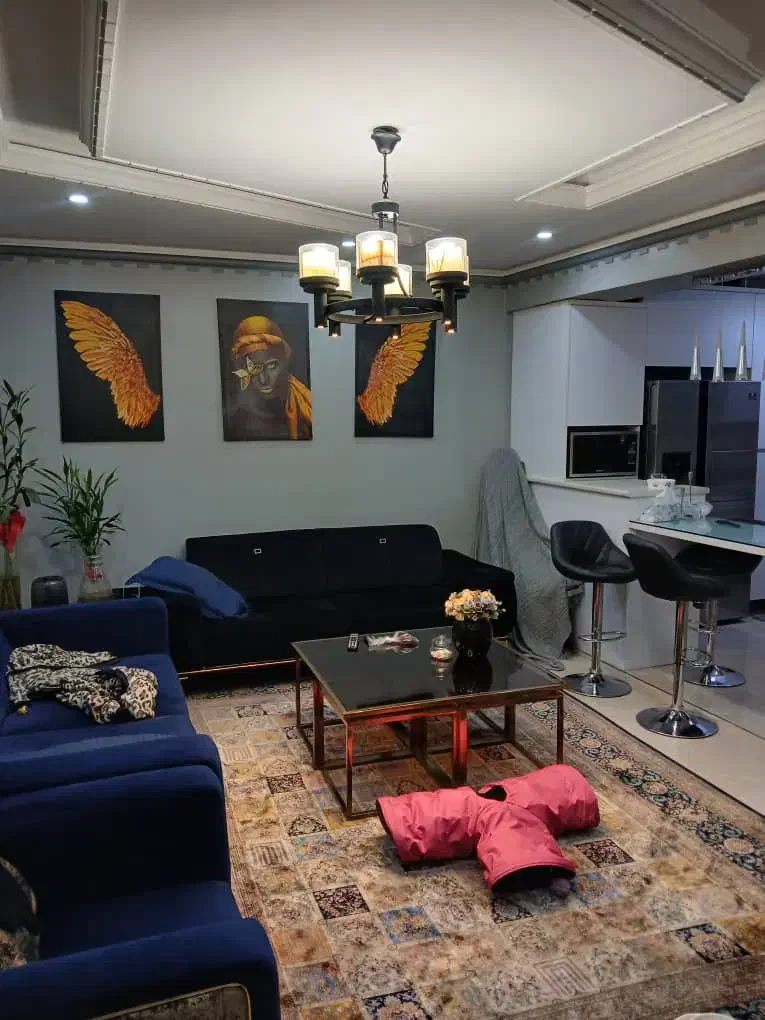 ۵۵متر اپارتمان شیک دربهترین لوکیشن خ شیخ بهایی|فروش آپارتمان|تهران, منیریه|دیوار