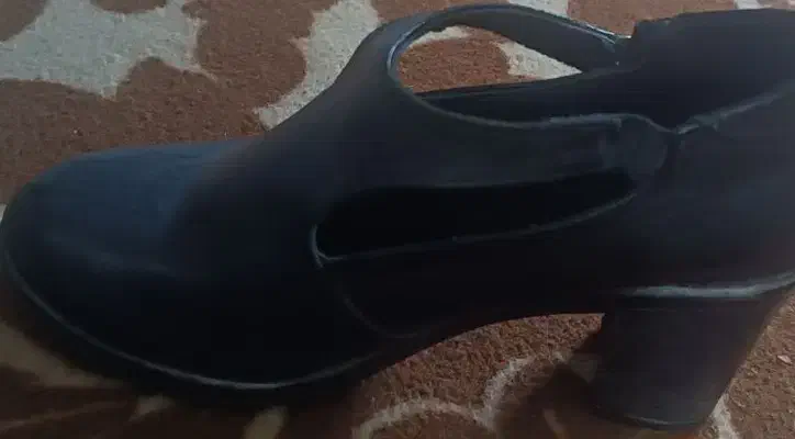 کفش|کیف، کفش، کمربند|میناب, |دیوار