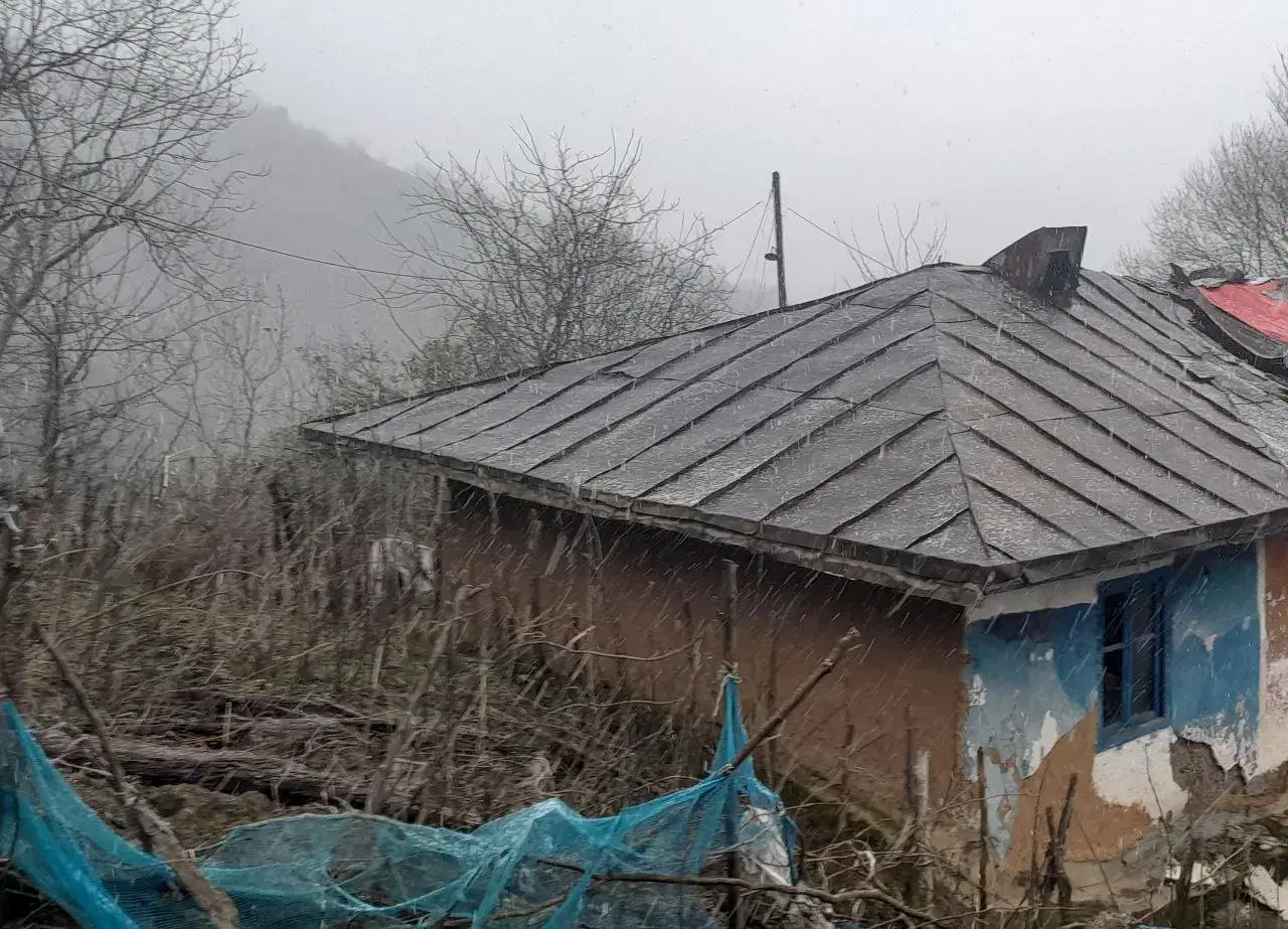 خونه قدیمی در دلِ جنگل هیرکانی با ۳۲۰ متر محوطه|فروش خانه و ویلا|اطاقور, |دیوار