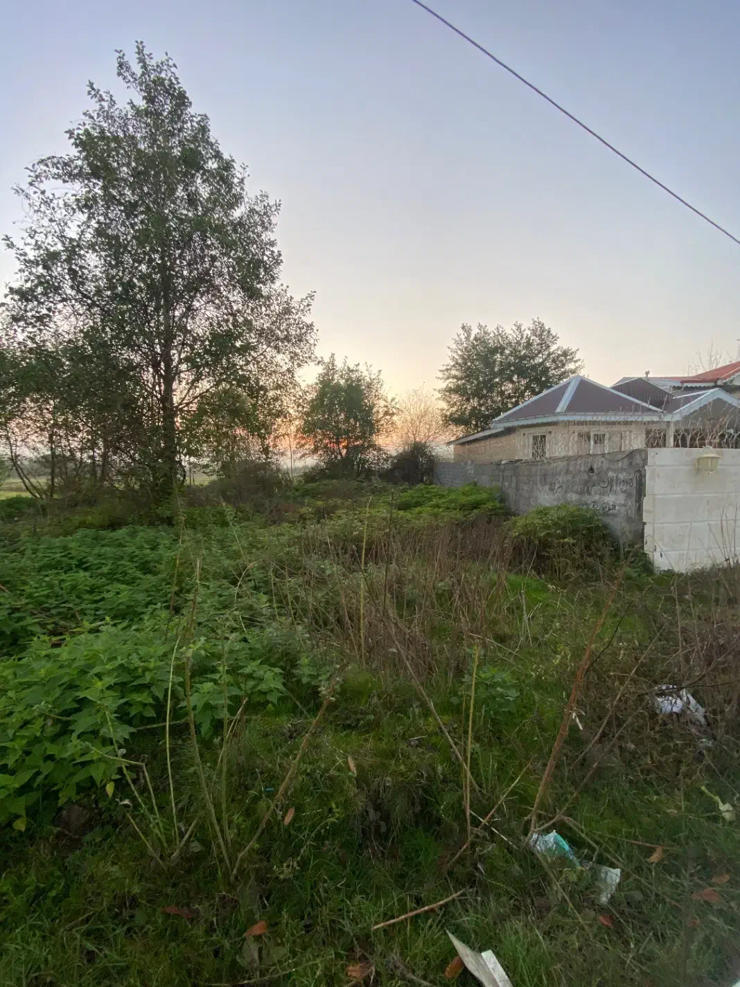 ۲۳۴متر زمین ساحلی مسکونی ولی اباد|فروش زمین و ملک کلنگی|رشت, کاکتوس|دیوار