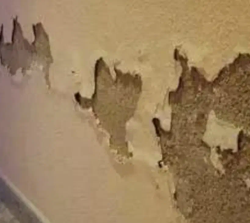 نشتی یابی و رفع رطوبت ،عایق نانو و ایزوگام|خدمات پیشه و مهارت|تهران, آهنگ|دیوار