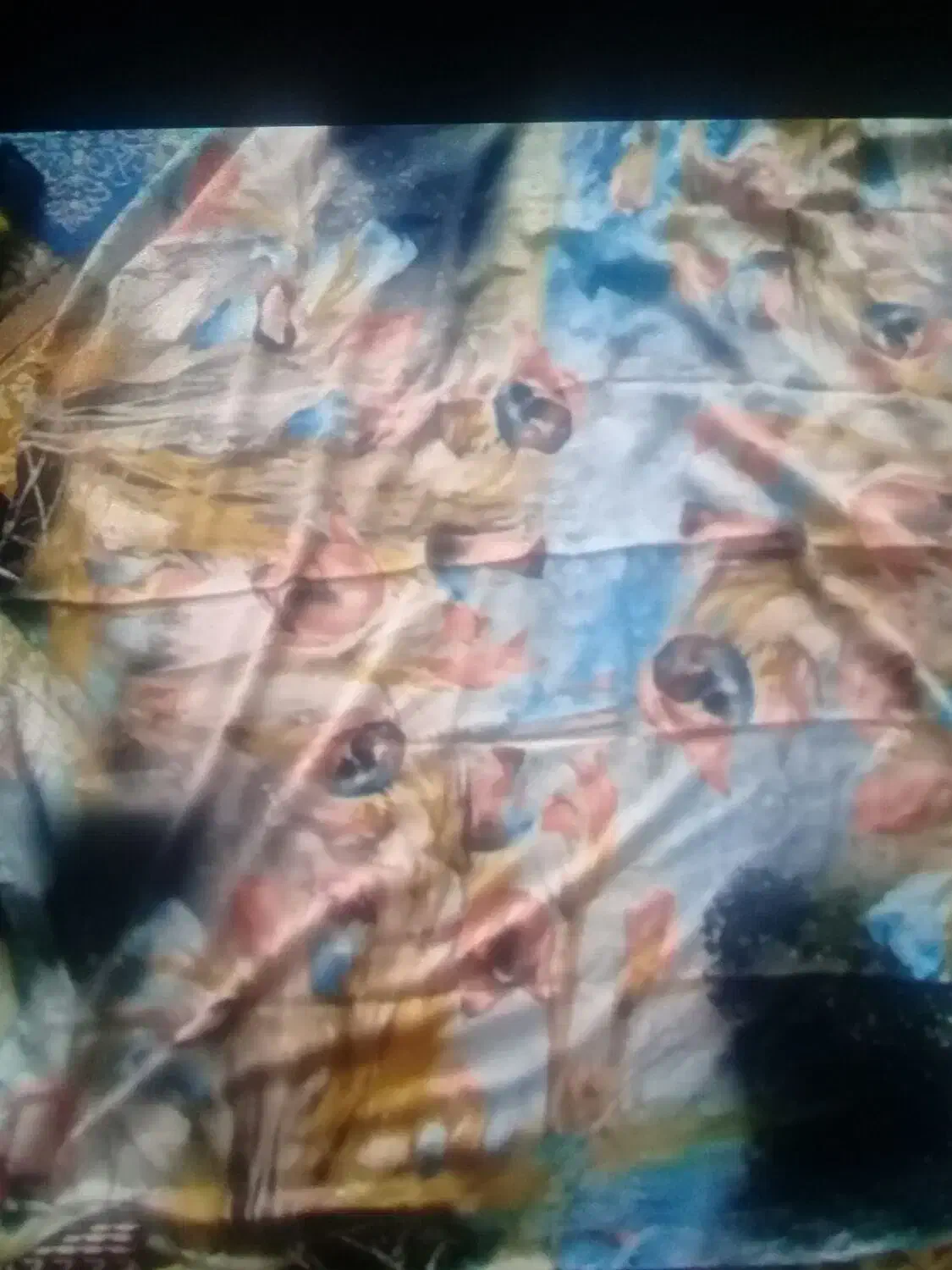 روسری وکاپشن|لباس|بروجرد, |دیوار