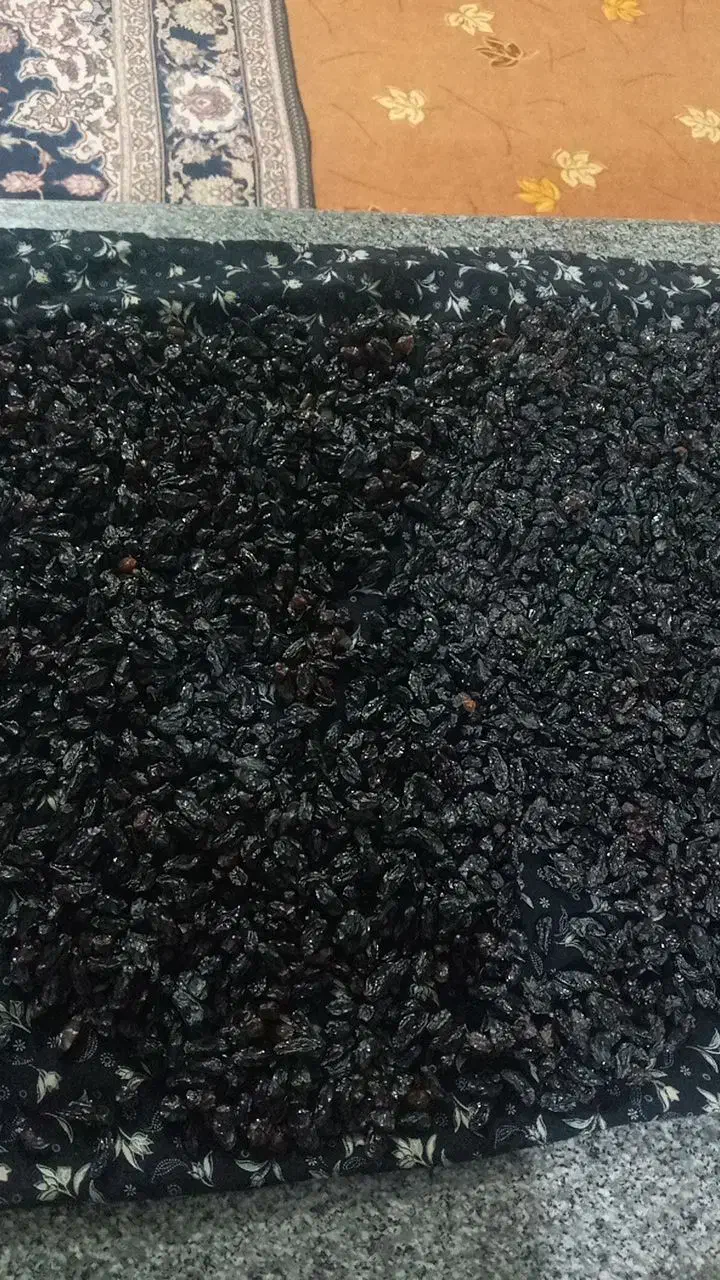 مویز اصل پاک شده کشمش آفتابی بیدانه|خوردنی و آشامیدنی|دشتابی, |دیوار