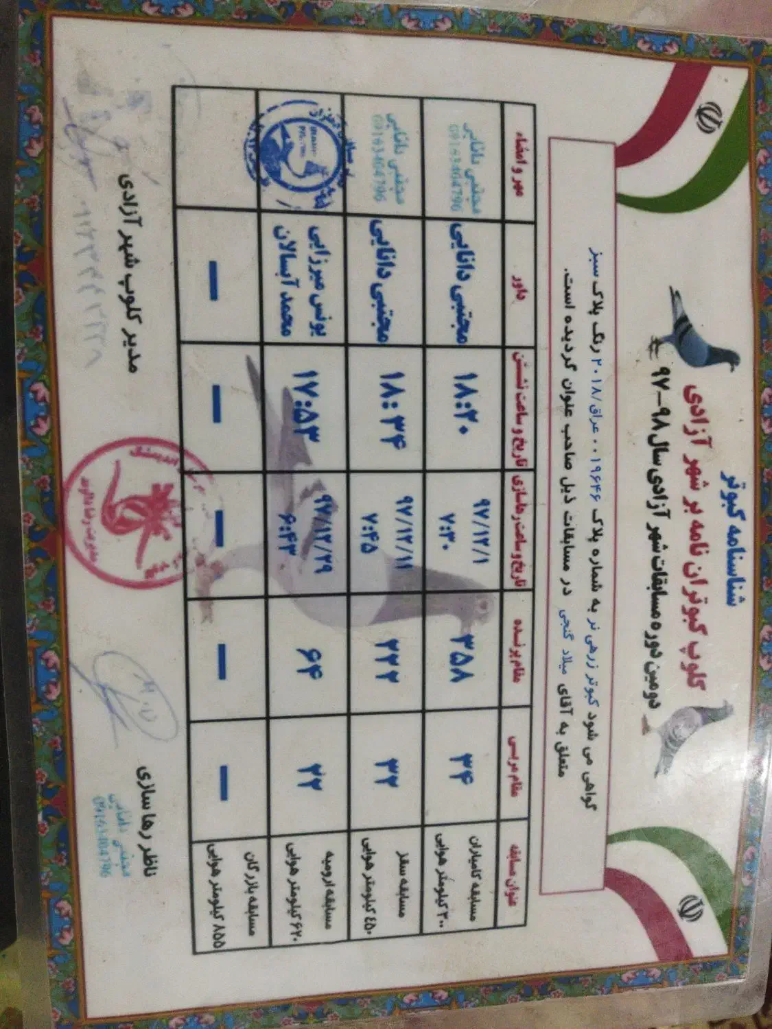 فروشی|پرنده|خسروشاه, |دیوار