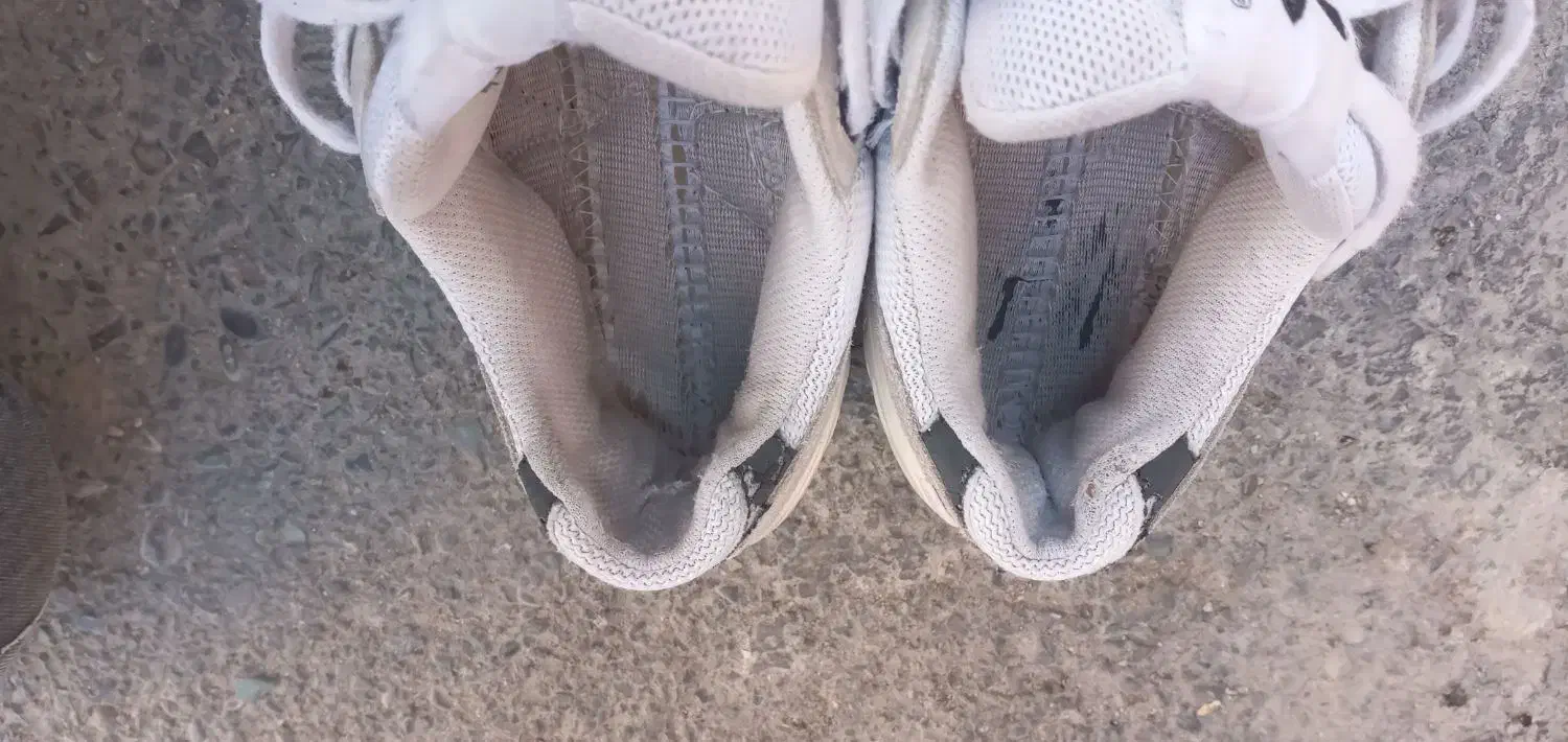 کتونی‌‌zx8000|کیف، کفش، کمربند|نسیم‌شهر, |دیوار