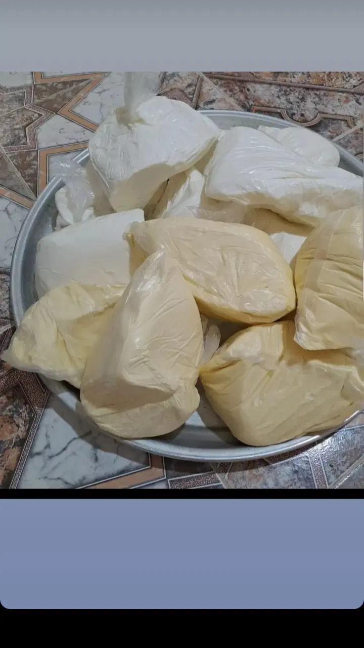 کره گاوی|عمده‌فروشی|جهرم, |دیوار