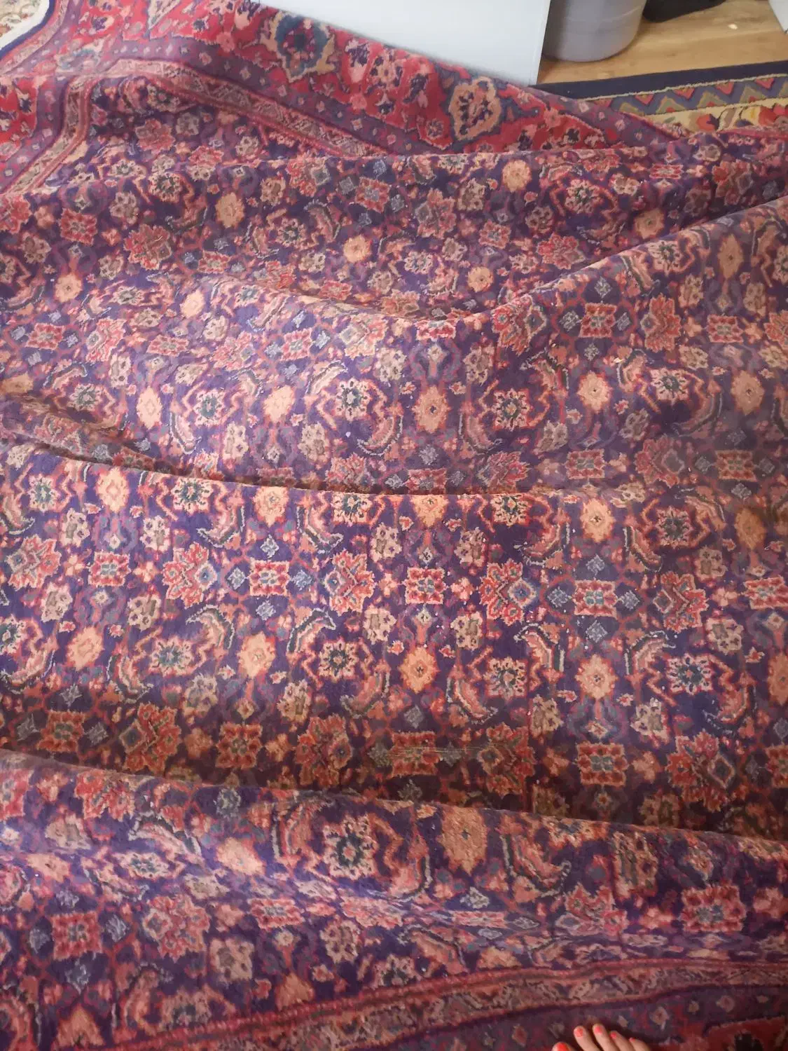 فرش دستبافت|فرش|اراک, |دیوار