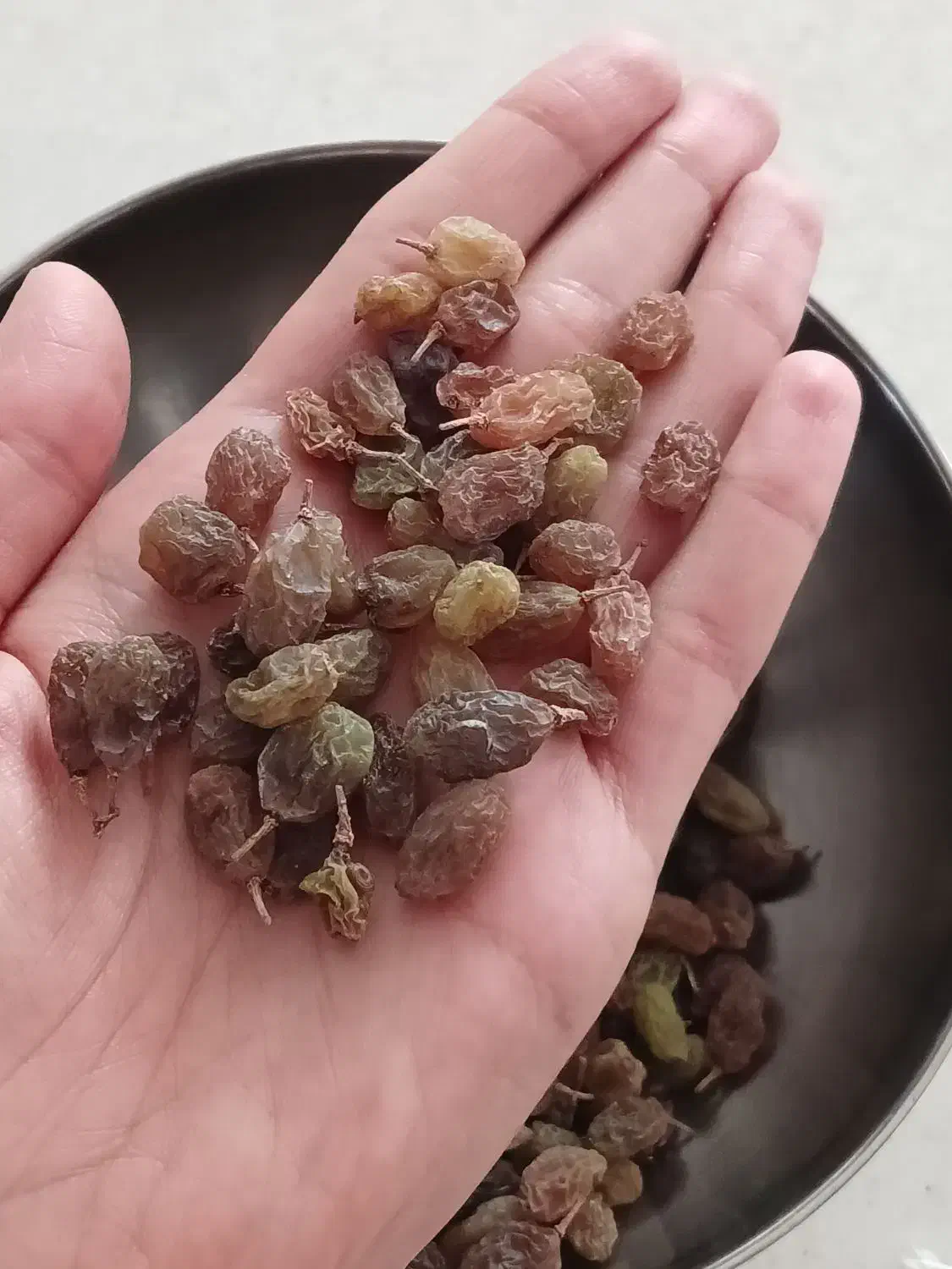 کشمش بی دانه سایه خشک|خوردنی و آشامیدنی|قم, پاسدار|دیوار