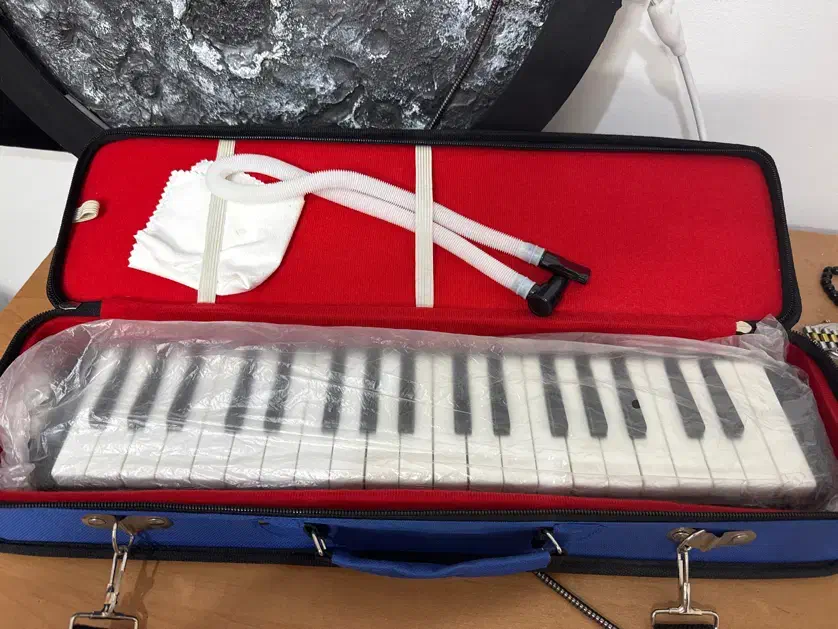 ملودیکا سوان با هاردکیس|پیانو، کیبورد، آکاردئون|مشهد, شفا|دیوار