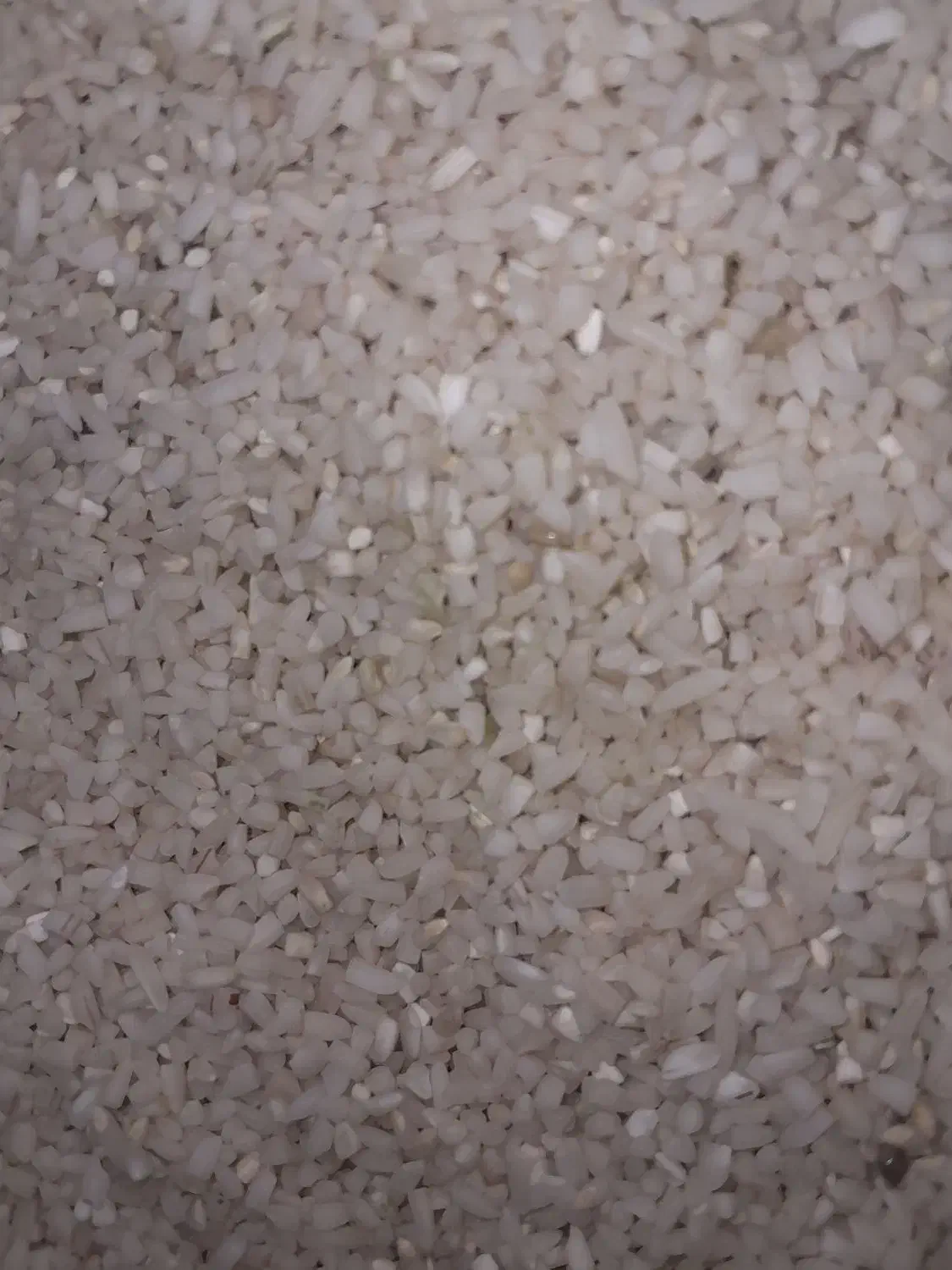 برنج نیم دانه|خوردنی و آشامیدنی|بیرانوند, |دیوار