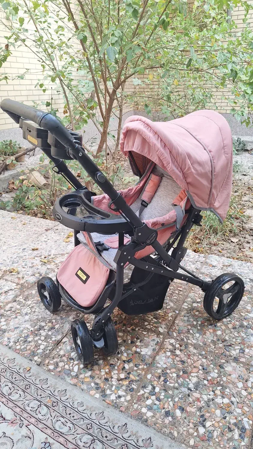 کالسکه دلیجان|کالسکه و لوازم جانبی|فولادشهر, B5|دیوار