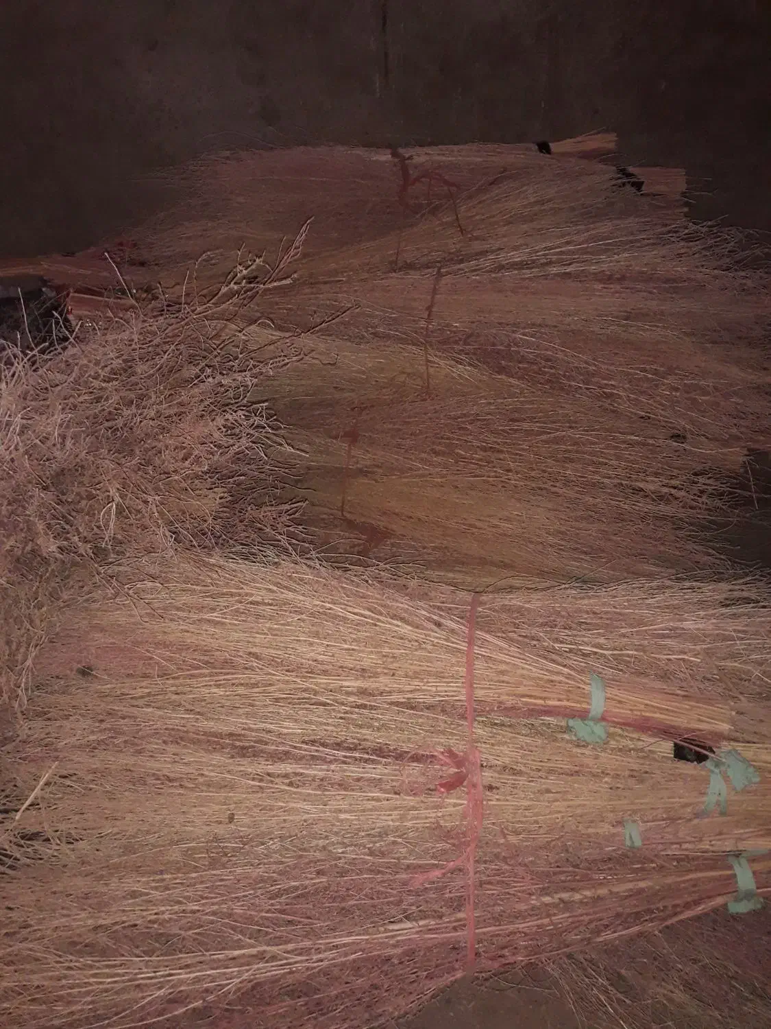 جارو|لوازم نظافت|کنگاور, |دیوار