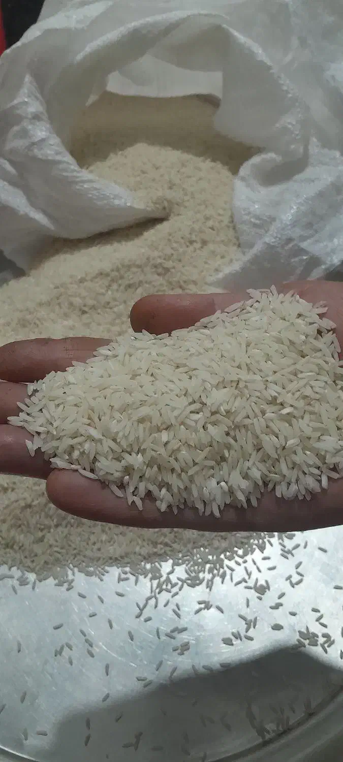 برنج دومسیاه|خوردنی و آشامیدنی|چگنی, |دیوار