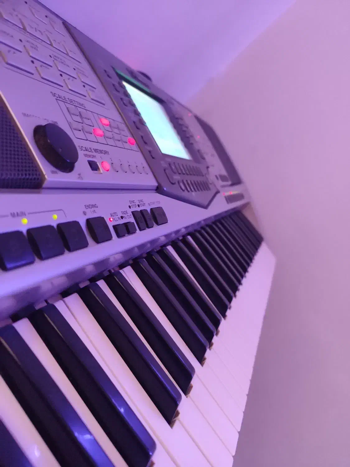 ارگ A1000 اورینتال|پیانو، کیبورد، آکاردئون|حاجی آباد, |دیوار