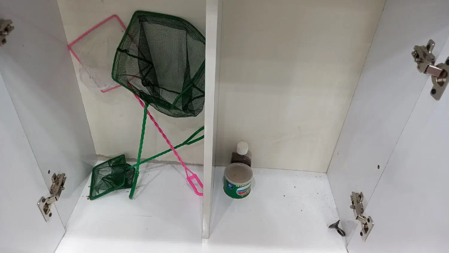 آکواریوم|ماهی|نسیم‌شهر, |دیوار